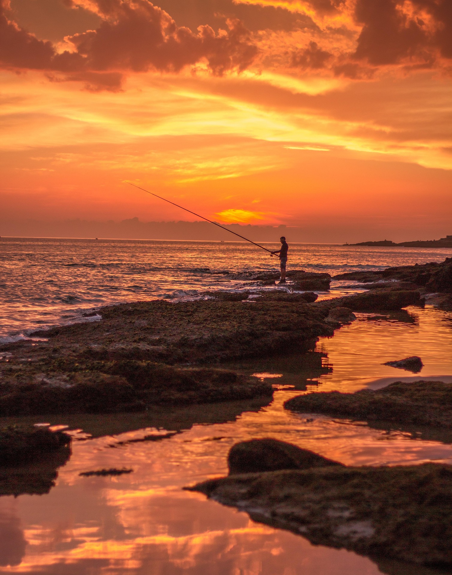 Local fisherman