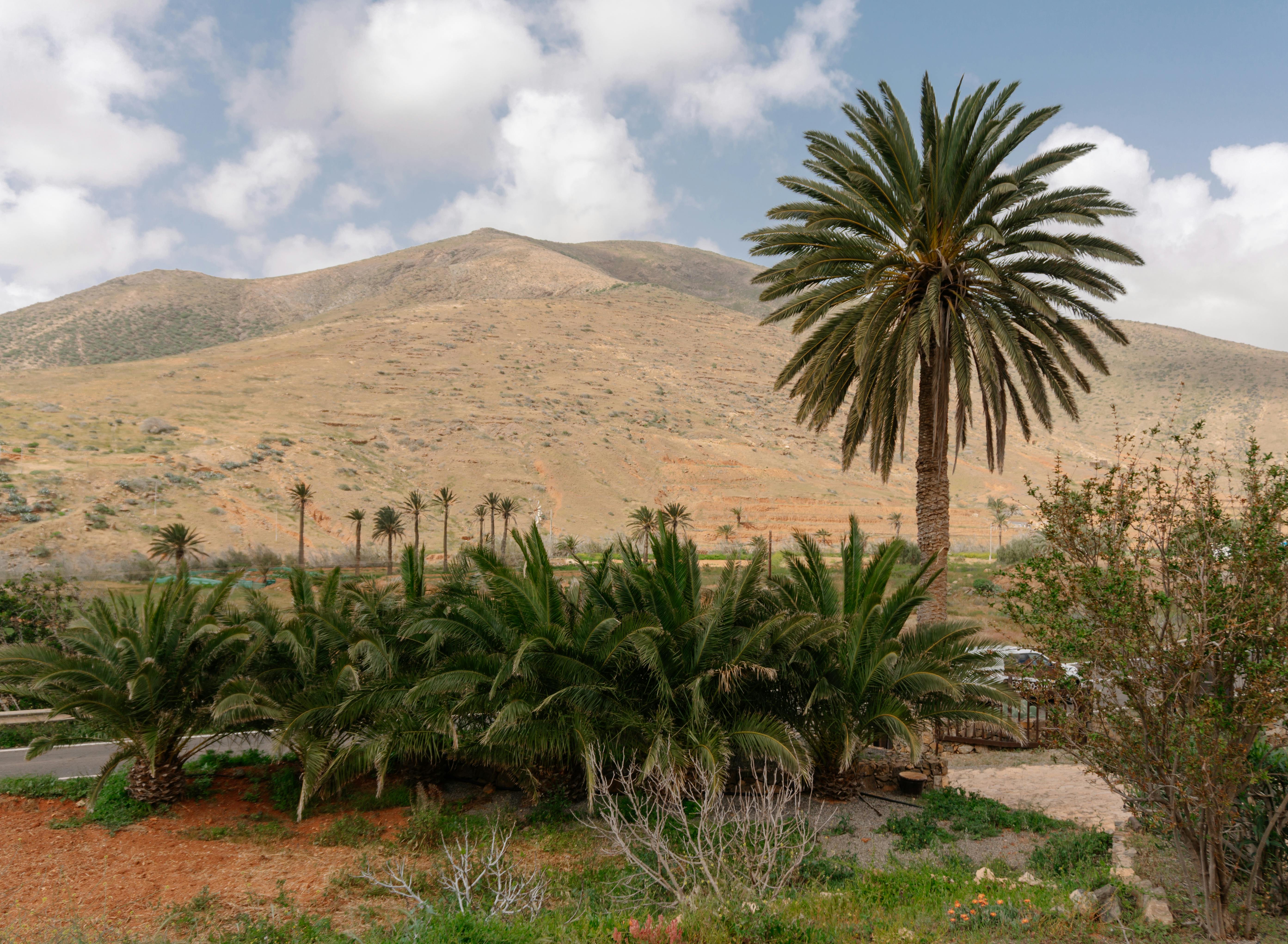 Atlas Mountains